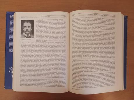 Dejiny slovenskej literatúry 1984, 