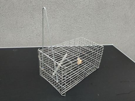 Pasca na potkany celokovová 30 x 17 x 15 cm,