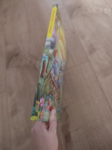 Dobrodružstvo s myškami, 