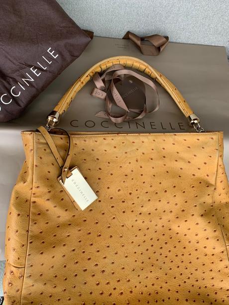 Coccinelle, coccinelle