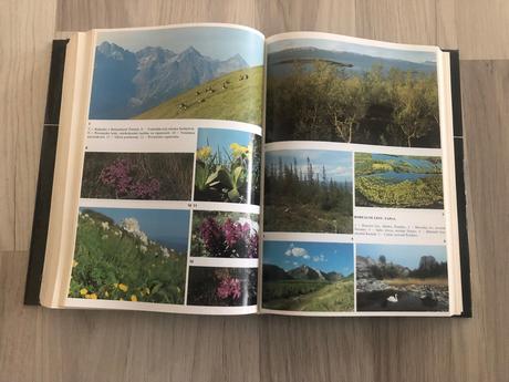 Encyklopedia spisovateľov sveta,