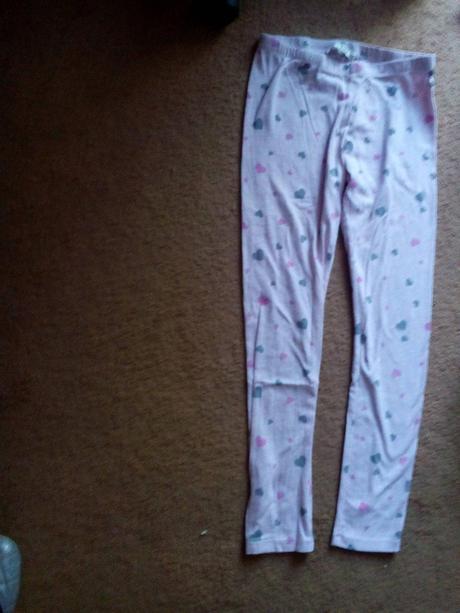 Leginy 146, terranova,146