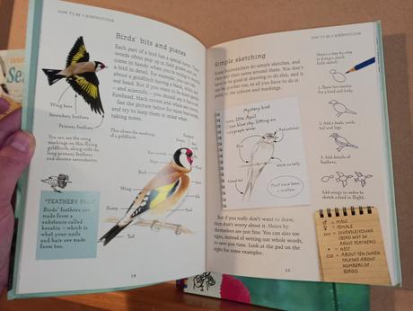 Usborne naturetrail set,