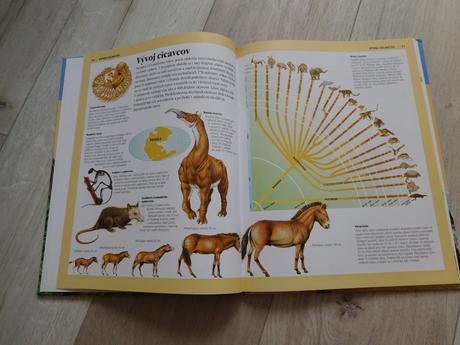 Obrázková encyklopédia zvieratá., 