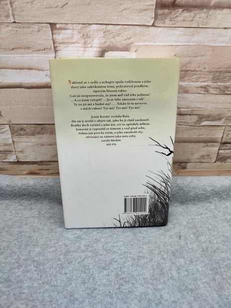 Pan wolodyjowski cz - henryk sienkiewicz,