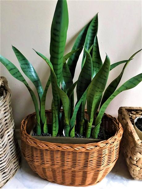 Kvalitný naturálny kôš, 