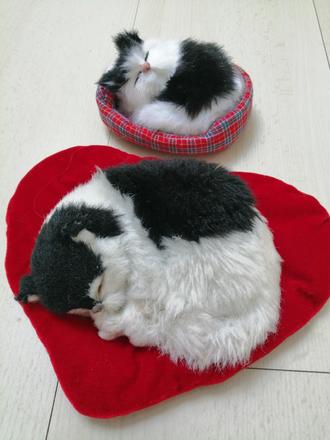 Plysove zvieratá, macicky v peliesikoch,