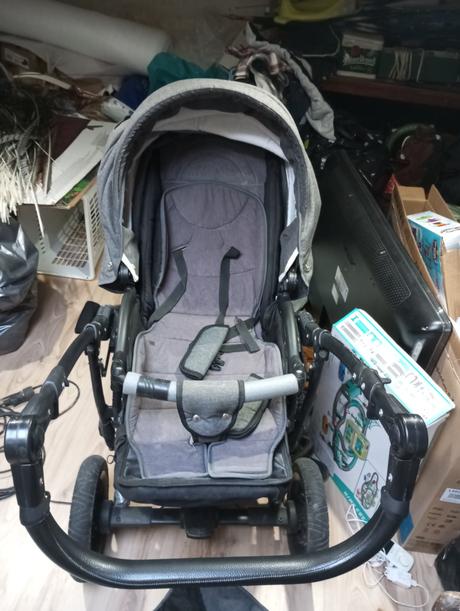 Kočik camarelo, camarelo,camarelo malaga