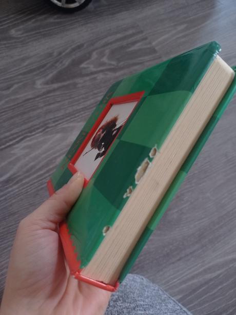 Rebelka (neskrotná), 