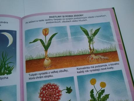 Obrázky z prírody, 