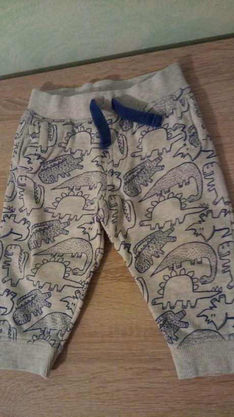 Tepláky s dinosaurami, f&f,74