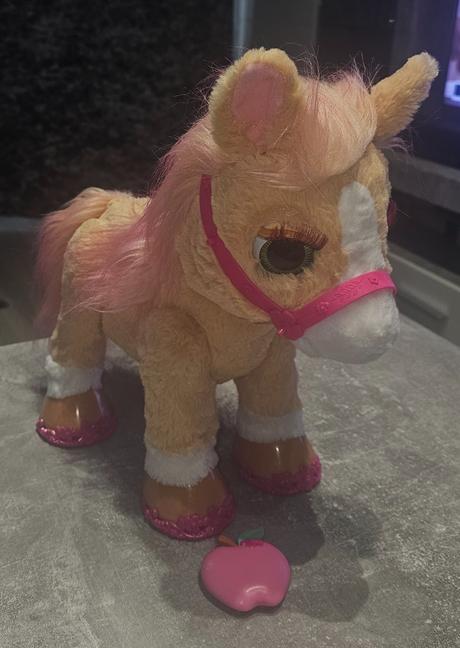 Interaktivny koník, 