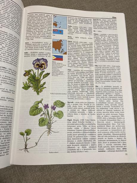 Veľký školský lexikón slovenské pedagogické nakl, 