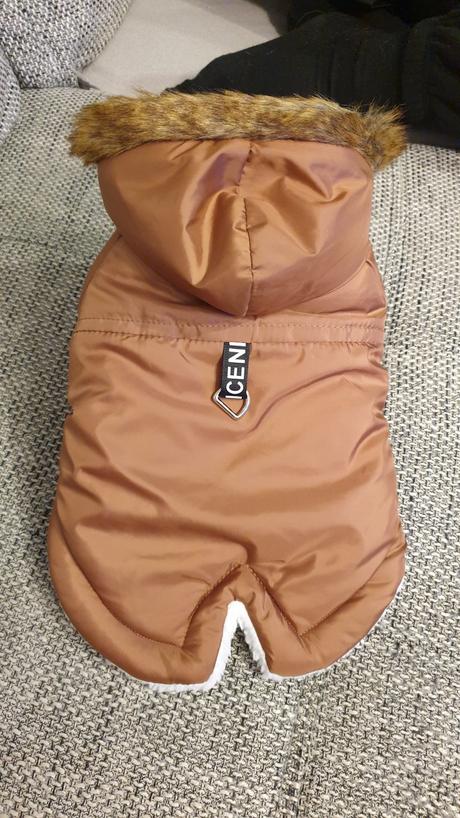 Bundička pre psíka, 