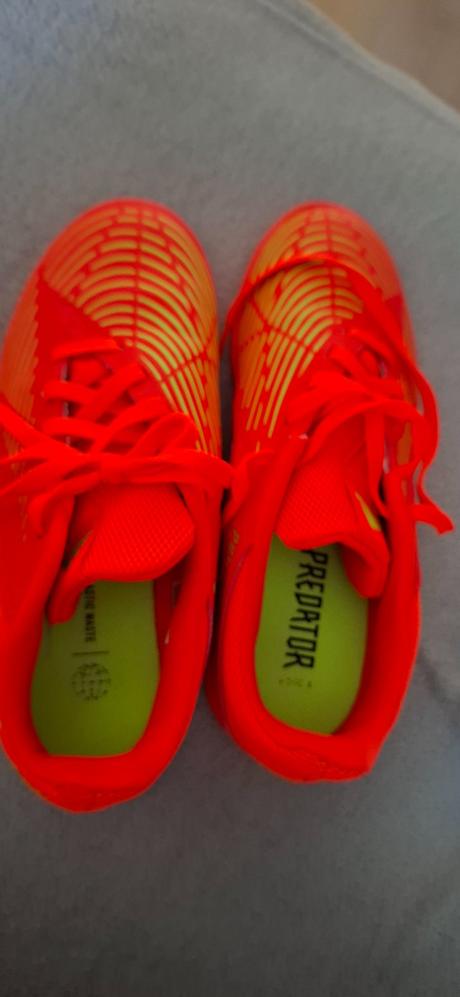 Predátor adidas, adidas,36