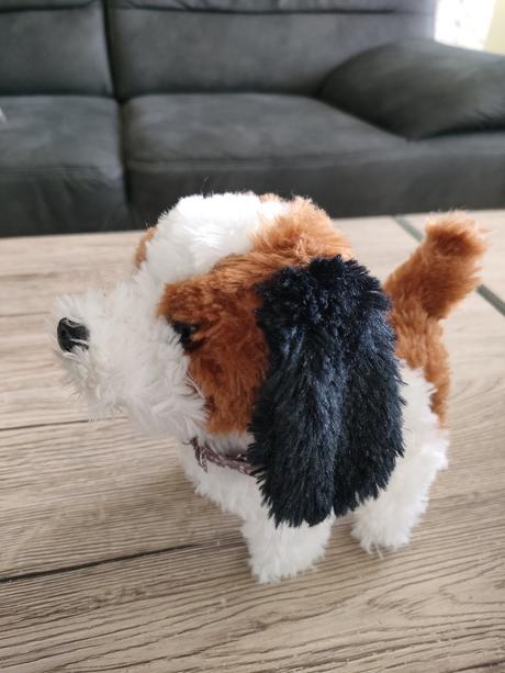 Stekajuci a chodiaci psik, 