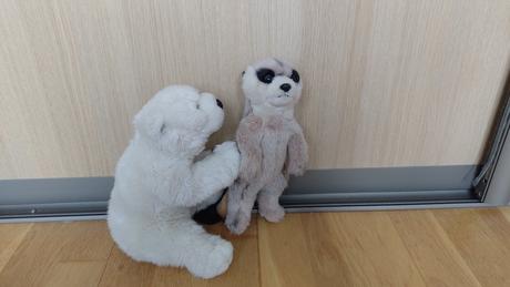 Plysove hracky surikata, ladovy medved, 