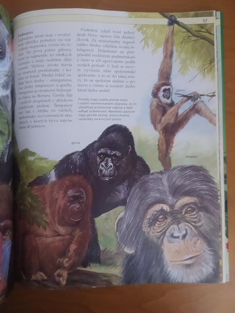 Stručná detská encyklopédia prírody (1992), 