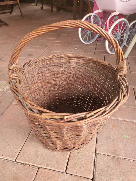 Veľký prútený kos, 