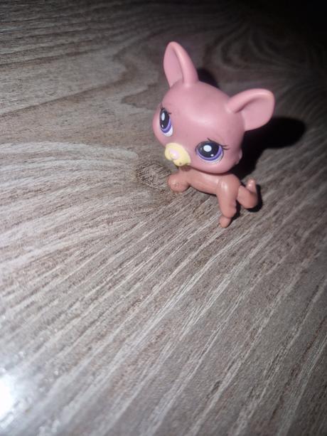 Littlest pet shop corgi, 