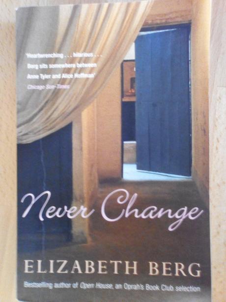 Kniha v angličtine - never change, 