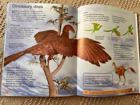 Krásna kniha dinosaury rachel firth,