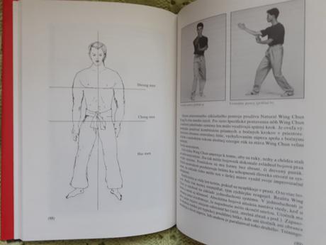 Natural wung chun kung fu,