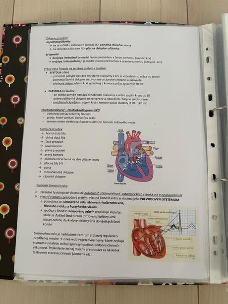 Biológia- maturitné otázky na komplet, 