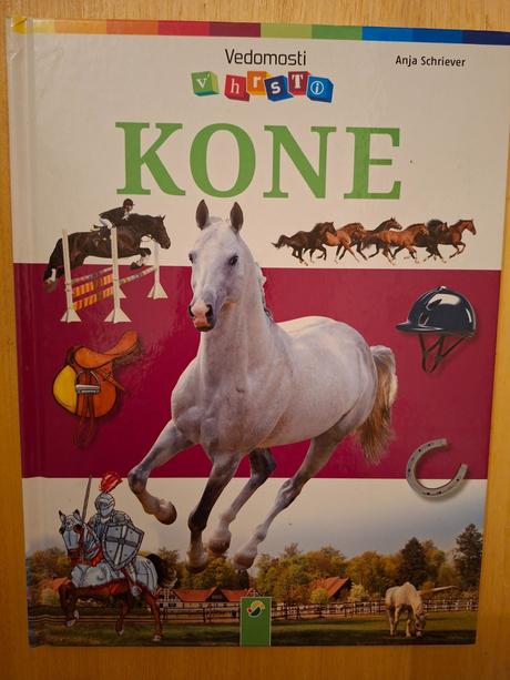 Vedomosti o koňoch - kone,
