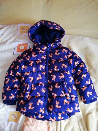 Zimna bundicka, rebel,86