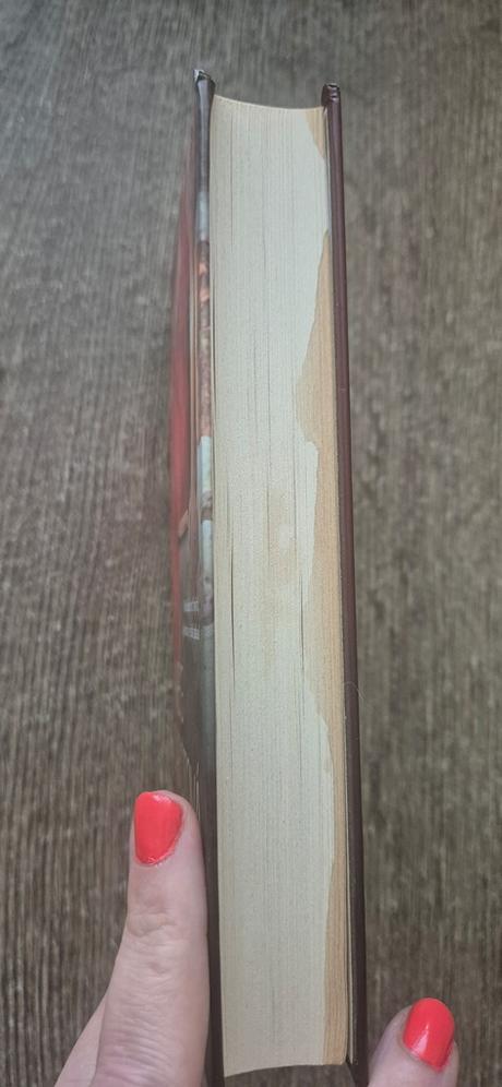 Meg cabot - nenásytná , příliš velké sousto, 