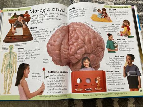 Encyklopédia pre školákov (2005),