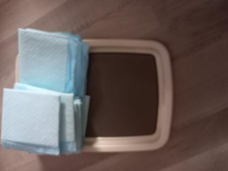 Naucna toaleta pre stenatka, 