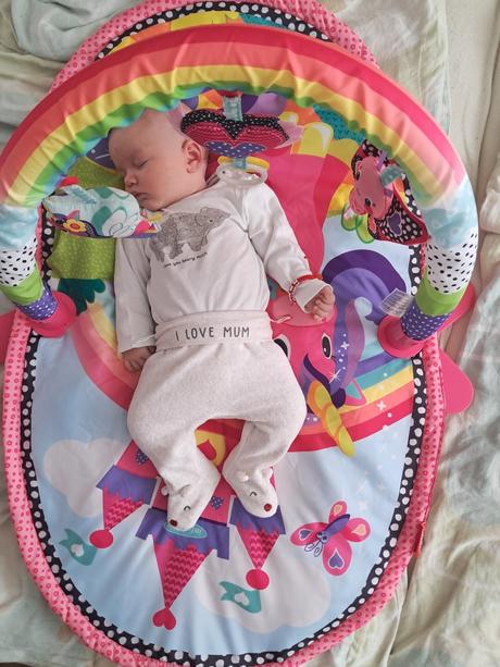 Ohradka, šírka (cm): 45,dĺžka (cm): 80