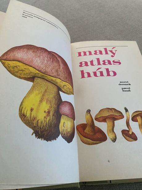 Veľký malý atlas húb aurel dermek pavol lizoň,
