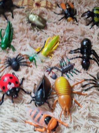 Hračky hmyzu,