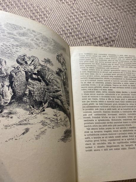 Krásna historická kniha zavátý život josef augusta,