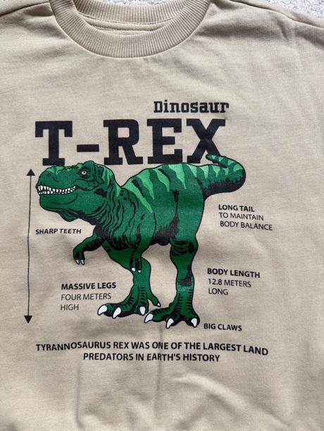 Mikina tyranosaurus rex - top stav, 110
