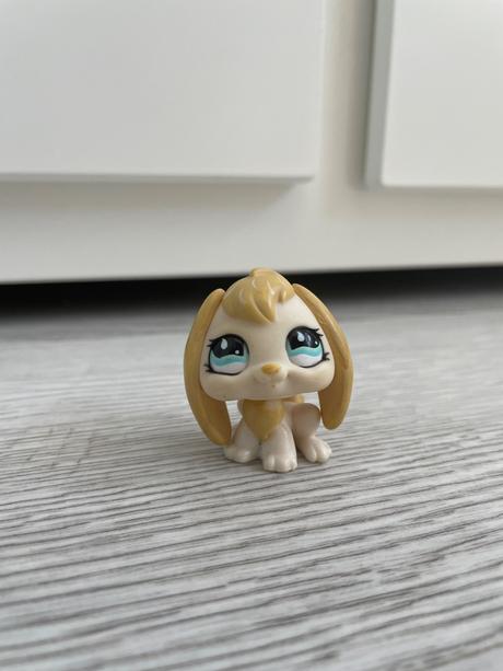 Lps zajkovia s ušami dole,