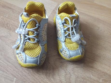 Zlto sede botasky nasuchovacky, 24