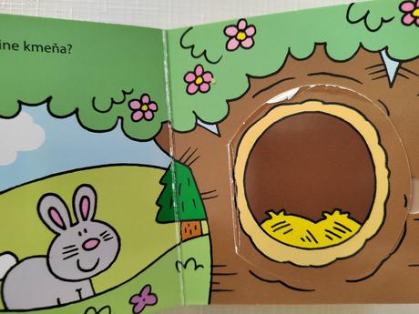 Pozri, kto sa skrýva... - okienkové knižky,