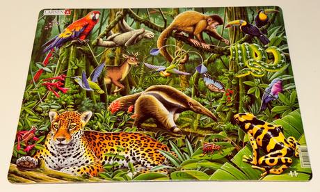 Puzzle prales 70, 