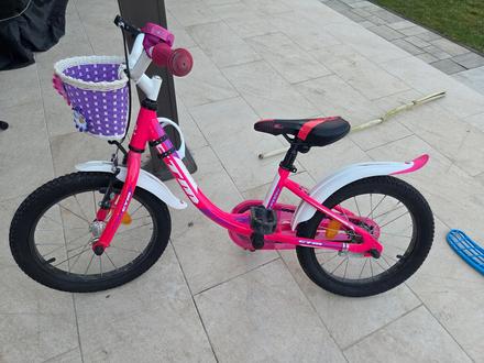 Ctm marry 16, ctm,16