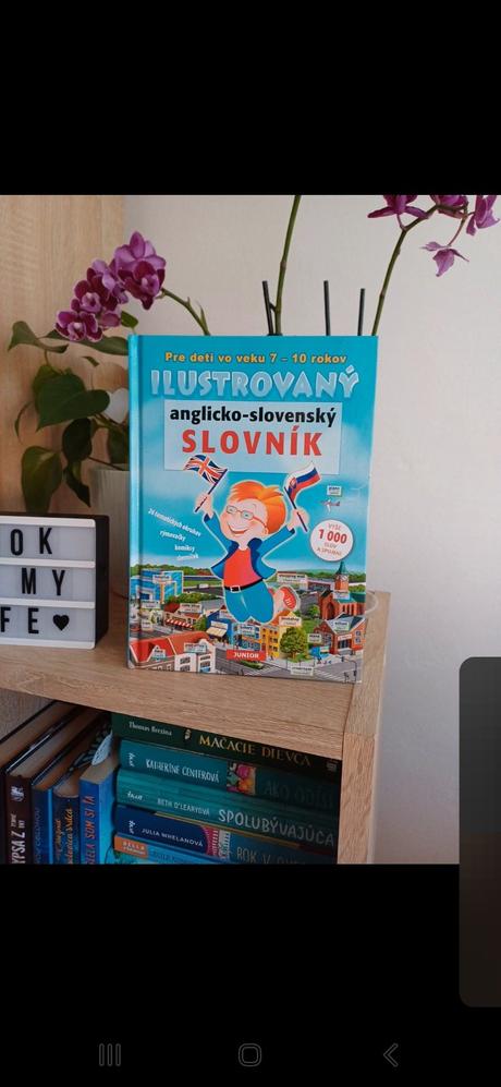 Ilustrovaný slovník, 