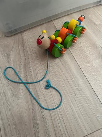 Husenica julia na tahanie,