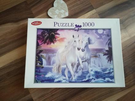 Puzzle 1000, 