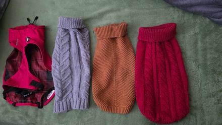 Oblecenie pre psika mendieho vzrastu, 