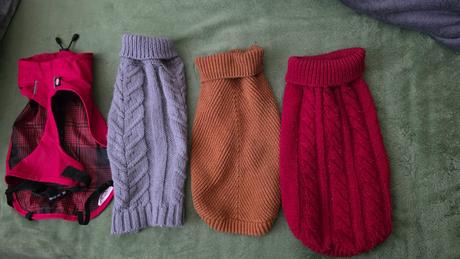 Oblecenie pre psika mendieho vzrastu, 