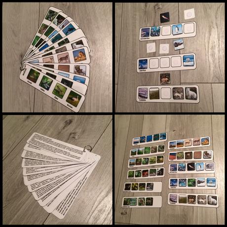 Potravinove retazce v biotopoch,