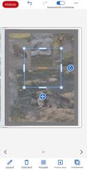 CEWE FOTOKNIHA